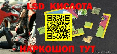 стафф Ярославль