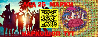 стафф Ярославль