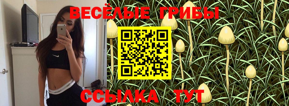 Псилоцибиновые грибы мицелий Обь