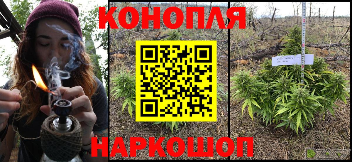 Бошки Шишки ГИДРОПОН  Вход с VPN  Бошки марихуана Ganja  Обь 